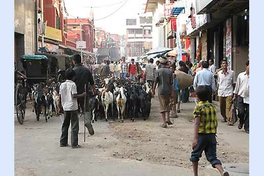 Viaggio in India 2008 - Calcutta